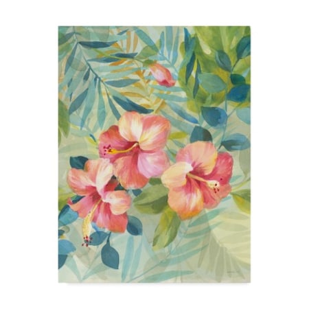Danhui Nai 'Hibiscus Garden Iii' Canvas Art,18x24